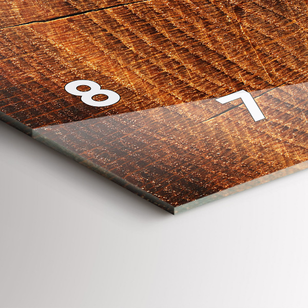 Horizontální hodiny na skle Kmen starého stromu