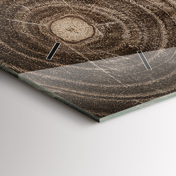 Horizontální hodiny na skle Kmen stromu