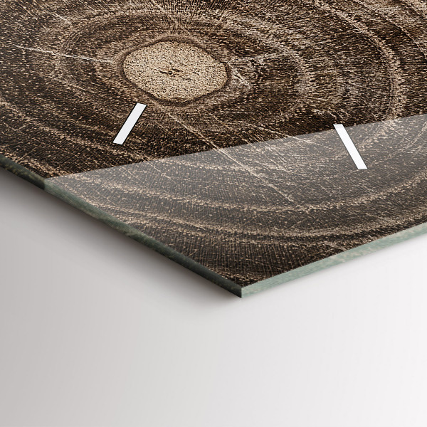 Horizontální hodiny na skle Kmen stromu