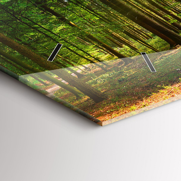 Horizontální skleněné hodiny na stěnu Lesní východ slunce