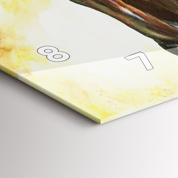 Horizontální skleněné hodiny na stěnu Dva malovaní koně