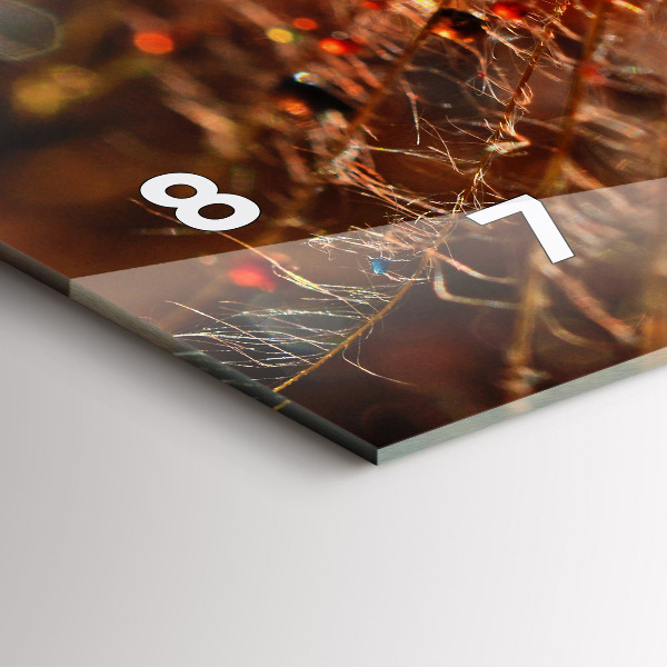 Horizontální hodiny na skle Foukačka s rosou