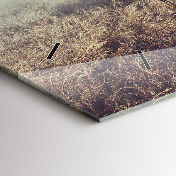 Horizontální hodiny na skle Zebra - abstrakce