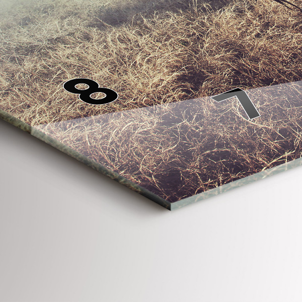 Horizontální hodiny na skle Zebra - abstrakce