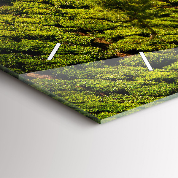 Horizontální hodiny na skle Čajový kopec