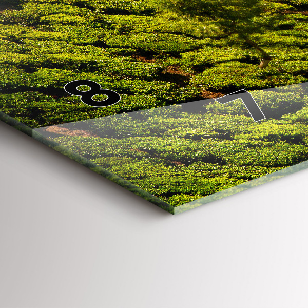 Horizontální hodiny na skle Čajový kopec