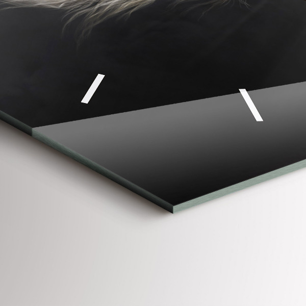 Horizontální hodiny na skle Cválající kůň