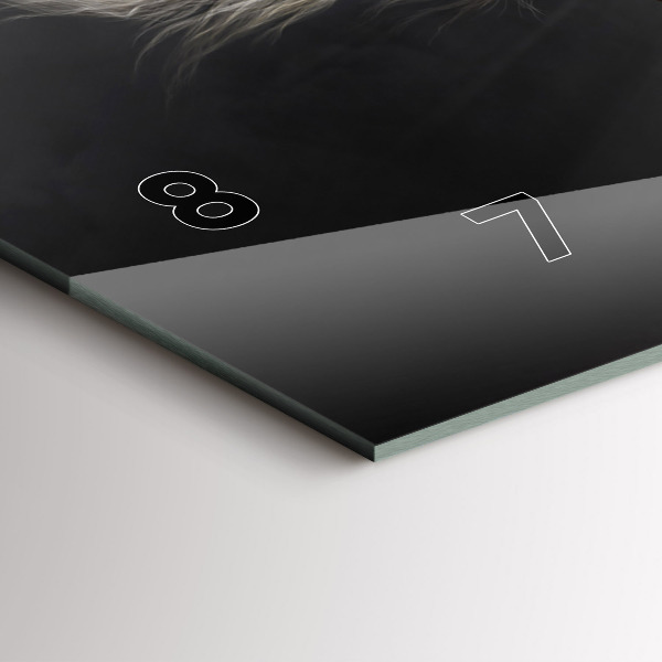 Horizontální hodiny na skle Cválající kůň