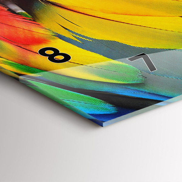 Horizontální skleněné hodiny na stěnu Pták Ara Barevná křídla