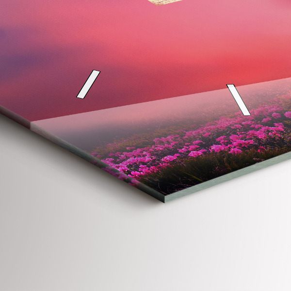 Horizontální skleněné hodiny na stěnu Ptačí budka