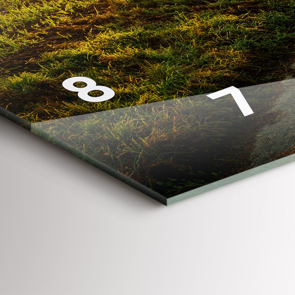 Horizontální skleněné hodiny na stěnu Mlha při východu slunce