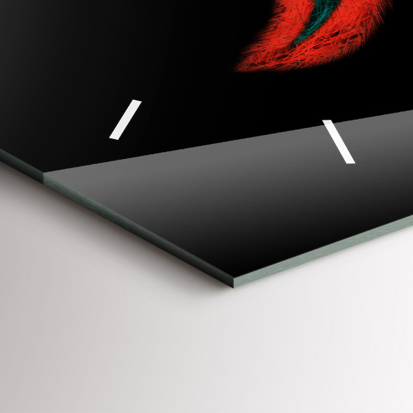 Horizontální skleněné hodiny na stěnu Barevné ptačí peří