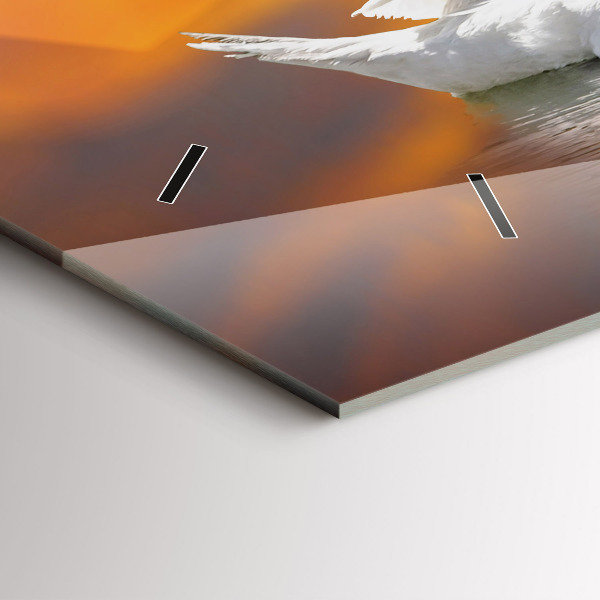 Horizontální skleněné hodiny na stěnu Zamilované labutě