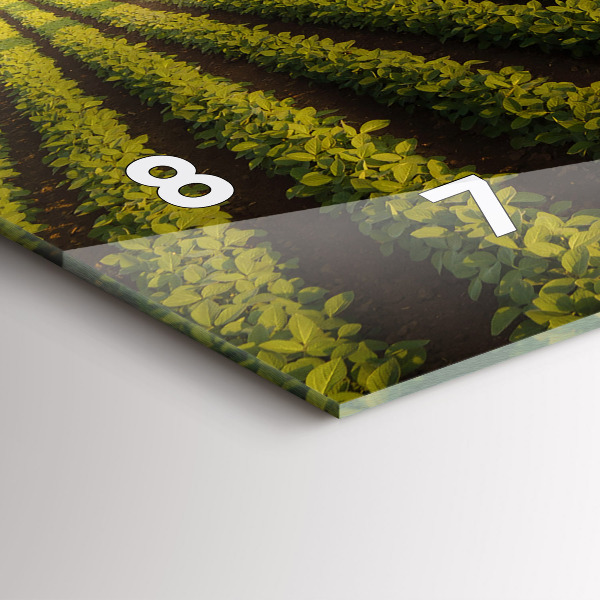 Horizontální skleněné hodiny na stěnu Traktor stříkající pole