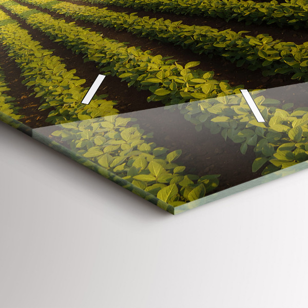 Horizontální skleněné hodiny na stěnu Traktor stříkající pole