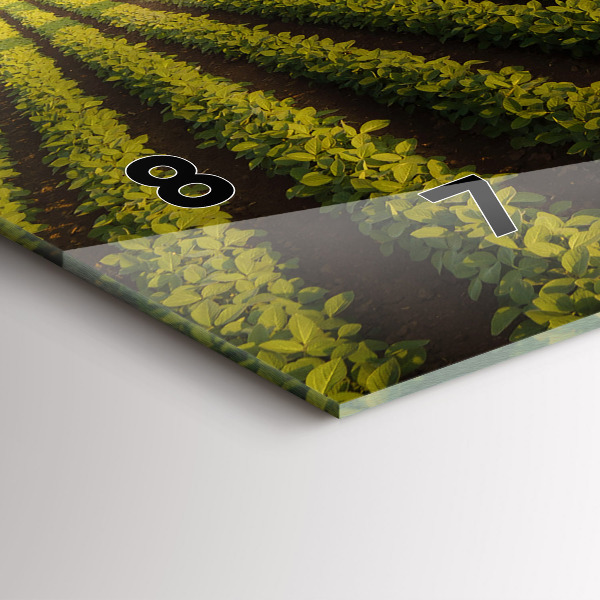 Horizontální skleněné hodiny na stěnu Traktor stříkající pole