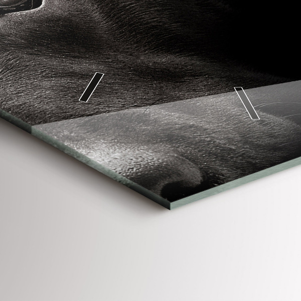 Horizontální hodiny na skle Pes a skotská kočka