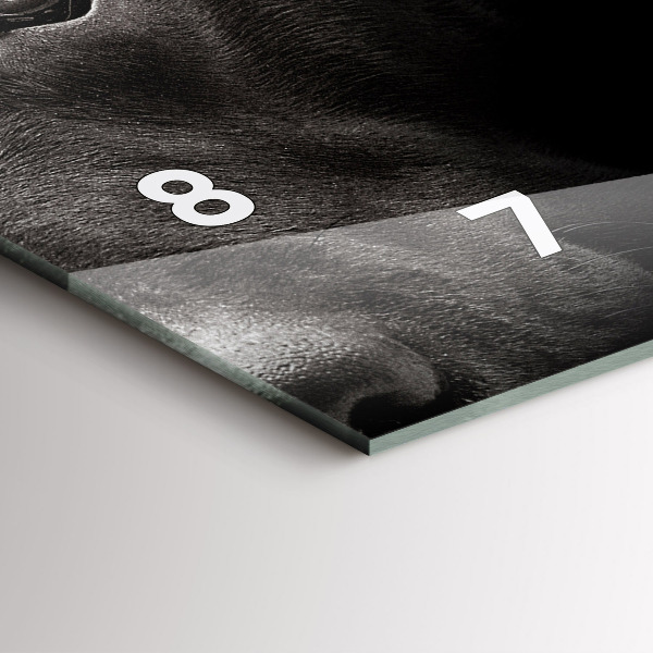 Horizontální hodiny na skle Pes a skotská kočka