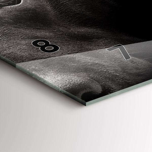 Horizontální hodiny na skle Pes a skotská kočka