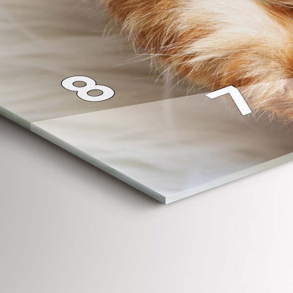 Horizontální hodiny na skle Malá spící kočka