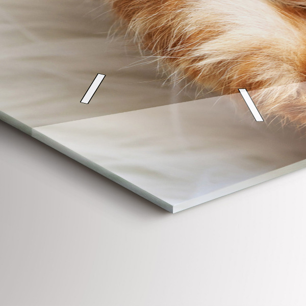 Horizontální hodiny na skle Malá spící kočka