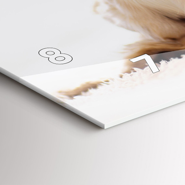 Horizontální skleněné hodiny na stěnu Spící kočka a pes