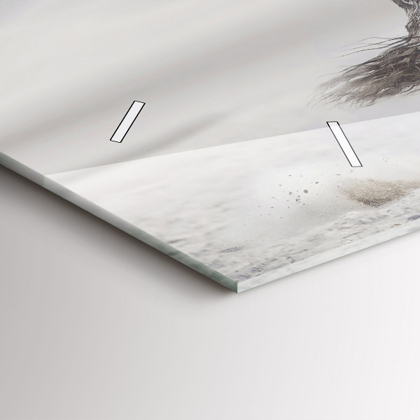 Horizontální hodiny na skle Cválající bílý kůň