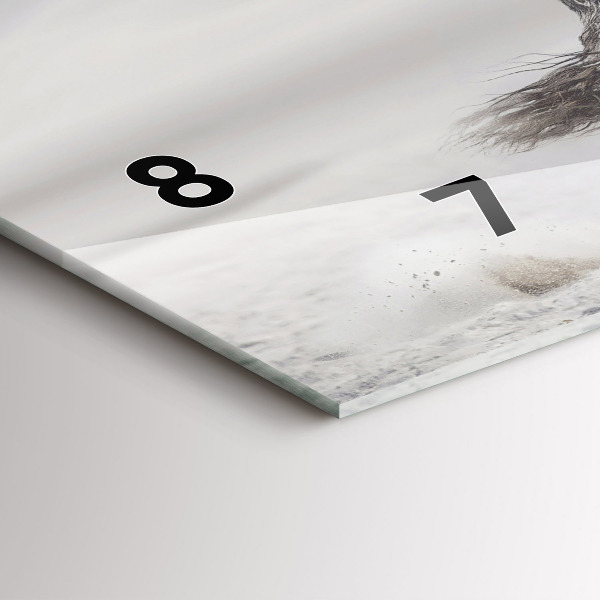 Horizontální hodiny na skle Cválající bílý kůň