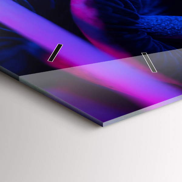 Horizontální skleněné hodiny na stěnu Kouzelné houby v barvách