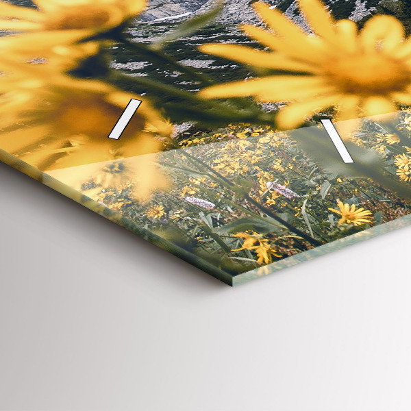 Horizontální skleněné hodiny na stěnu Květinová louka v horách