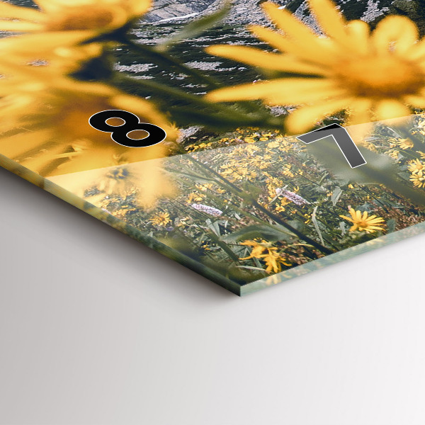 Horizontální skleněné hodiny na stěnu Květinová louka v horách