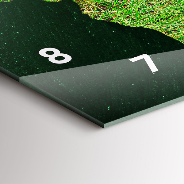 Horizontální hodiny na skle Travnatá mapa světa