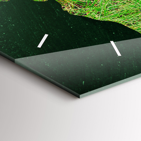 Horizontální hodiny na skle Travnatá mapa světa