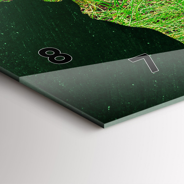 Horizontální hodiny na skle Travnatá mapa světa