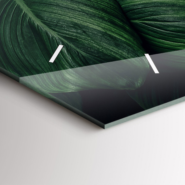 Horizontální skleněné hodiny na stěnu Tropická monstera