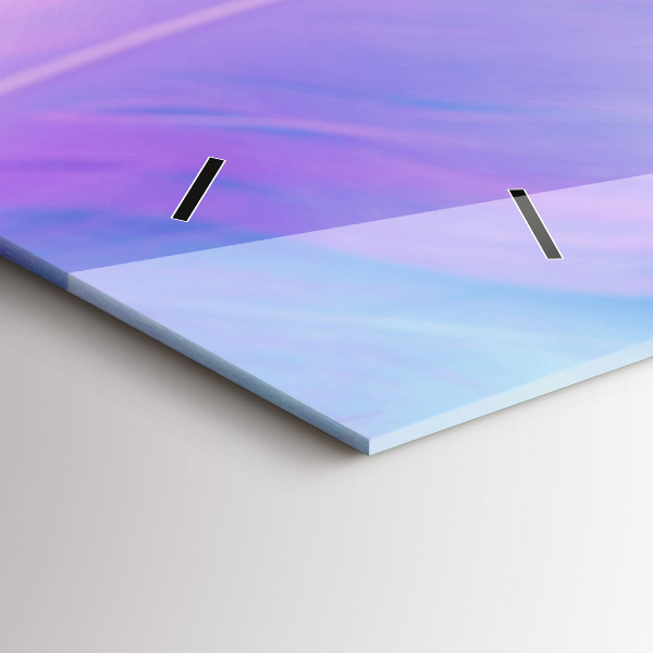 Horizontální skleněné hodiny na stěnu Barevné peří