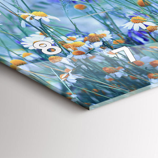 Horizontální skleněné hodiny na stěnu Motýl na louce