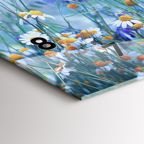 Horizontální skleněné hodiny na stěnu Motýl na louce