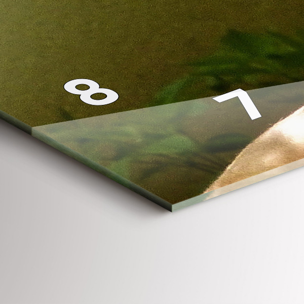 Horizontální skleněné hodiny na stěnu Portrét lva