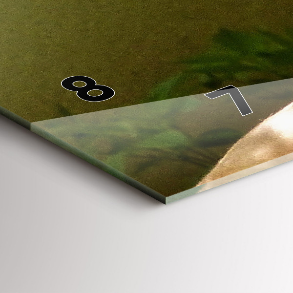 Horizontální skleněné hodiny na stěnu Portrét lva