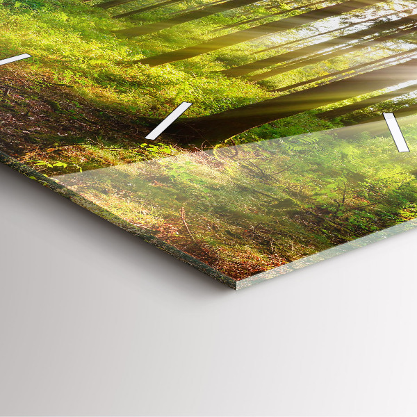 Skleněné hodiny čtvercové Lesní východ slunce