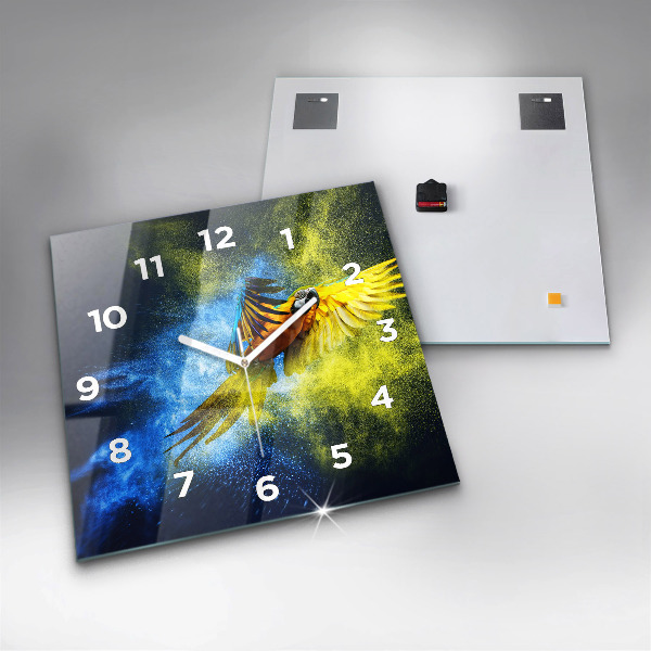 Čtvercové nástěnné hodiny Barevný papoušek