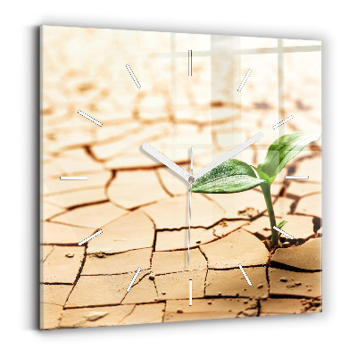 Skleněné hodiny čtvercové Rostlina v suché zemi