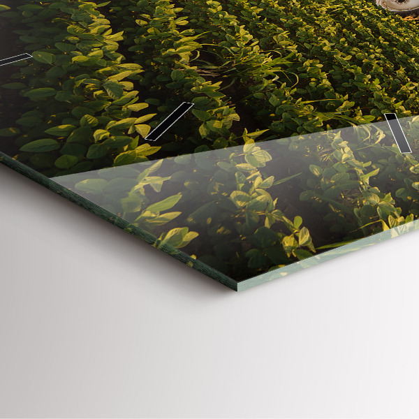 Čtvercové nástěnné hodiny Traktor na zemědělském poli