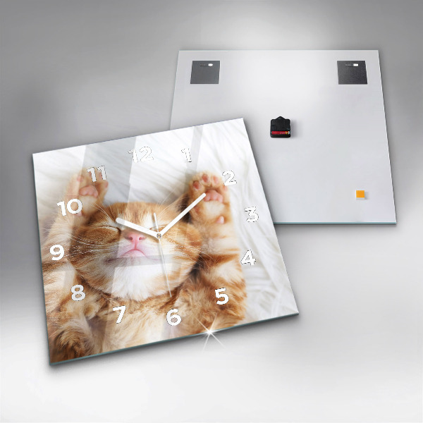 Skleněné hodiny čtvercové Spící kočička