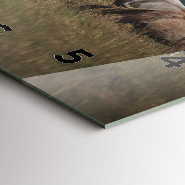 Čtvercové nástěnné hodiny Koně ve cvalu