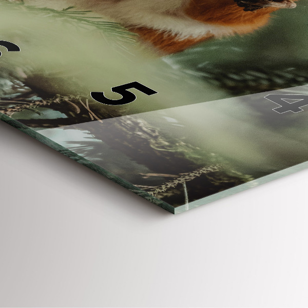 Čtvercové nástěnné hodiny Veverka a divoká zvěř