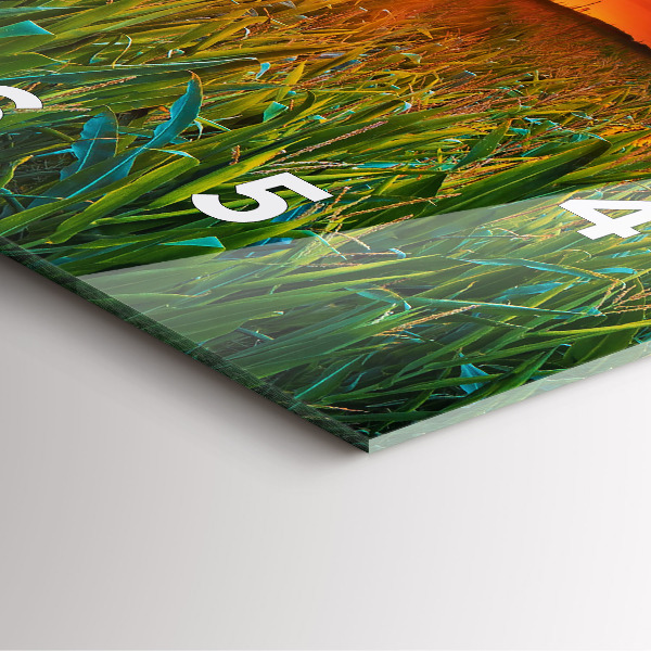 Čtvercové nástěnné hodiny Slunečnice na louce