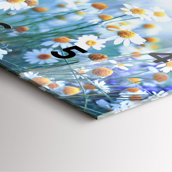 Skleněné hodiny čtvercové Motýl na louce