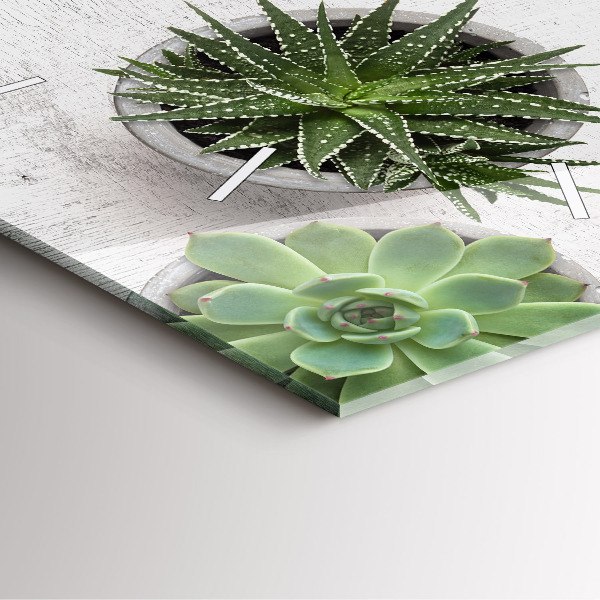 Skleněné hodiny čtvercové Dekorativní rostliny